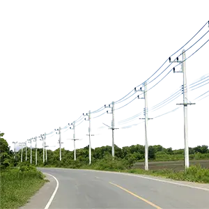 rk group distribution mest